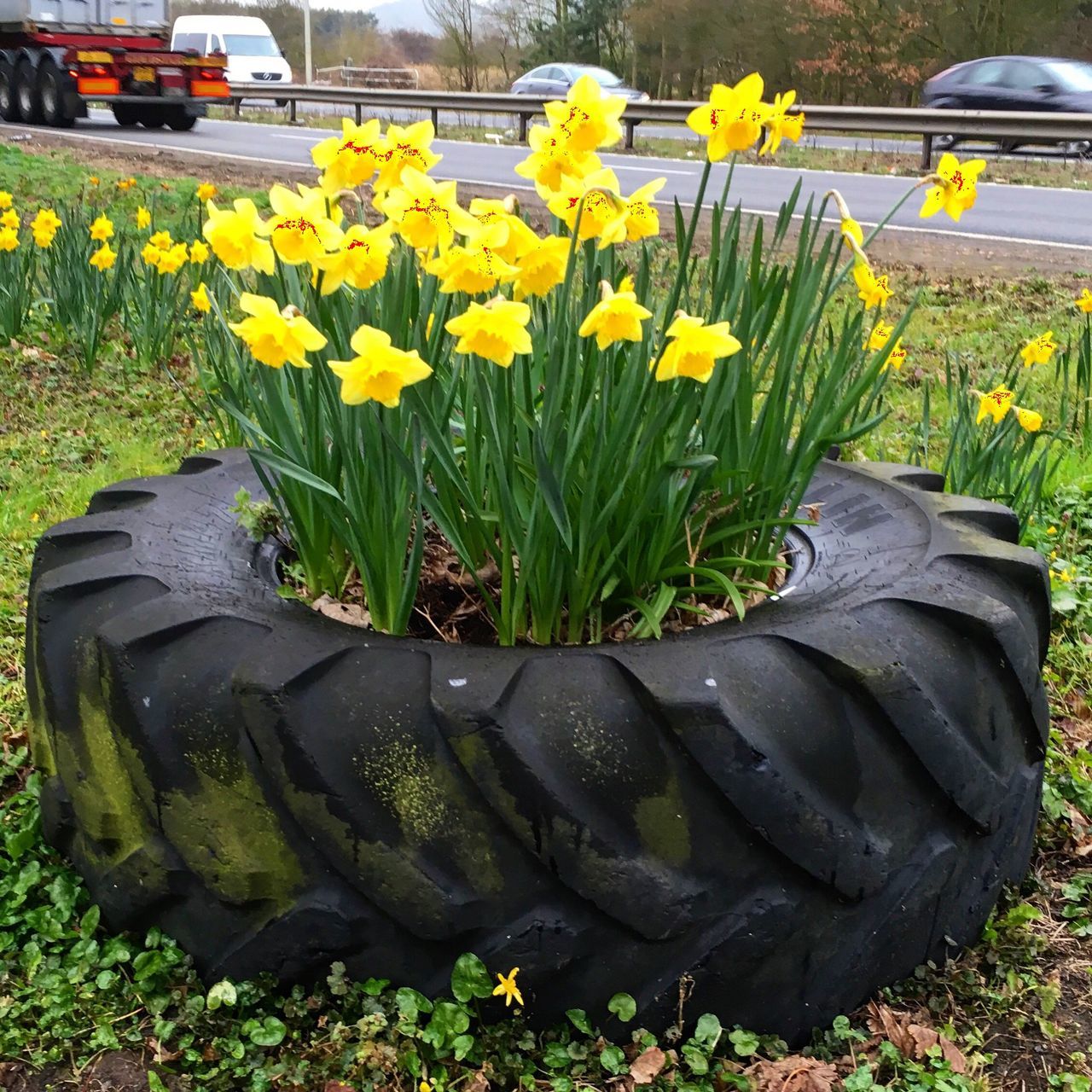 Tractor tyre