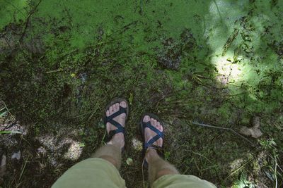 Low section of person standing on grass by water