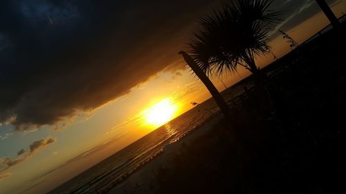 Silhouette palm tree by sea against sky during sunset