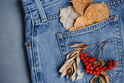 Close-up high angle view of fruits