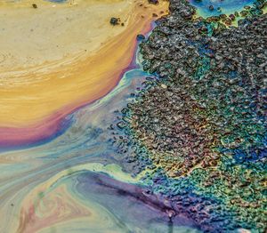 Close-up of polluted water