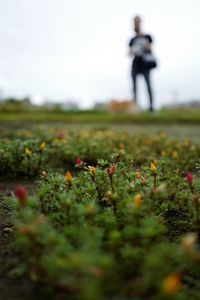 Full length of woman standing on field