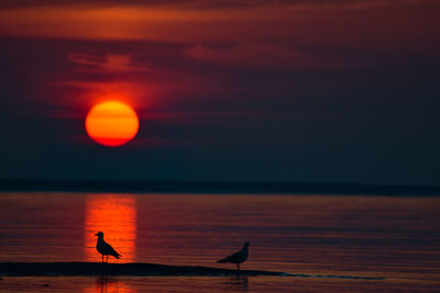 Scenic view of sea against orange sky