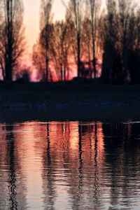 Silhouette trees by lake against sky during sunset