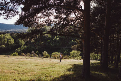 Man walking on field in forest