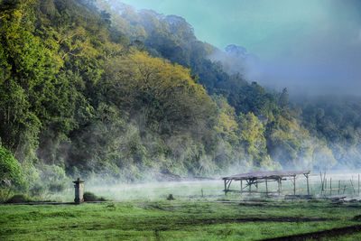 Scenic view of landscape during foggy weather