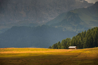 Scenic view of field against mountain