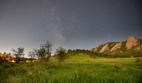 Scenic view of field against sky at night