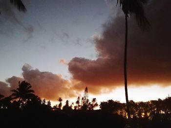 Low angle view of silhouette trees against sky at sunset