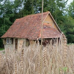 Barn on field