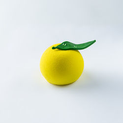 Close-up of yellow fruit against white background