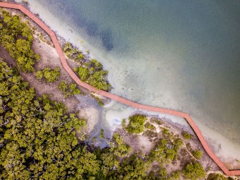 Aerial view of forest and sea