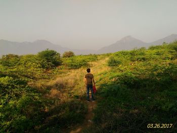 Rear view of man on road amidst trees