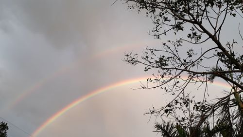 Low angle view of rainbow over trees against sky