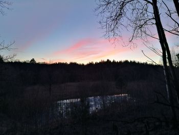 Scenic view of trees against sky during sunset