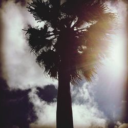 Low angle view of trees against cloudy sky