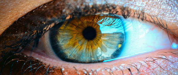 Extreme close up of human eye