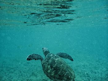 Underwater view of underwater