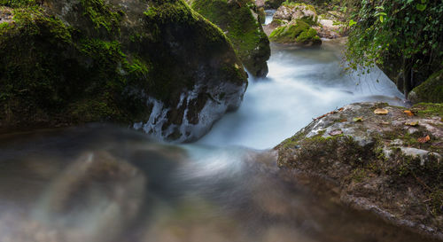 Stream flowing through rocks in forest