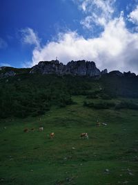 Scenic view of grassy field against sky