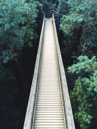 Boardwalk amidst trees in forest