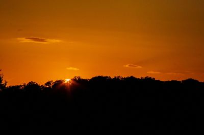 Silhouette of trees at sunset