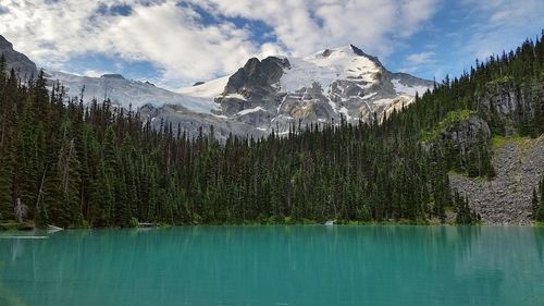 Scenic view of lake in forest against sky