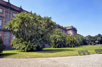 Trees and plants growing in lawn against building