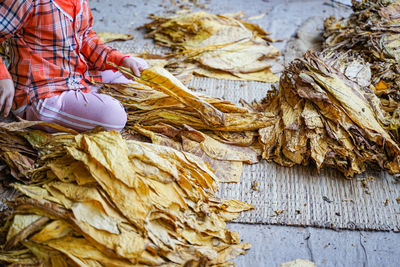 Hand holding corn at market stall