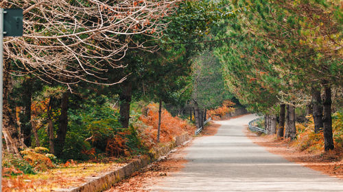 Italian mountain road in the national park in autumn season