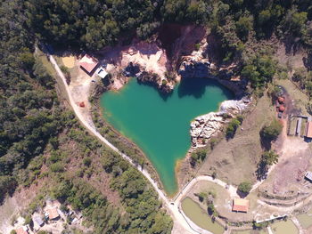 High angle view of river amidst trees