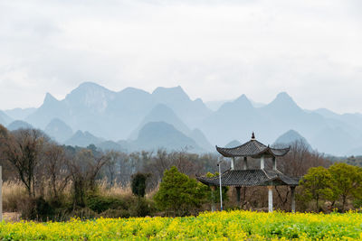 mountain