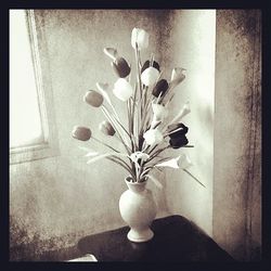 Close-up of flowers in vase