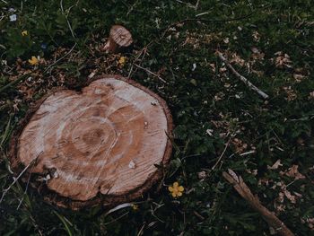 High angle view of log on field