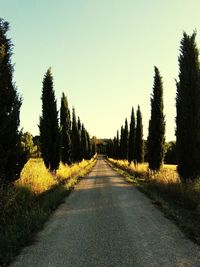 Road amidst trees against clear sky
