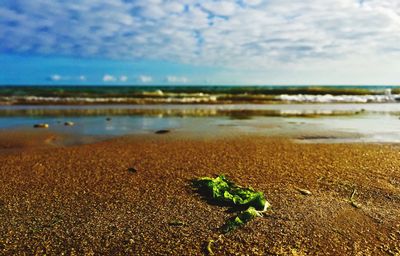 Scenic view of beach against sky