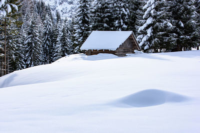 Scenic view of snow covered house against sky