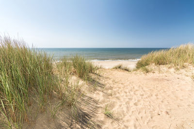 Scenic view of sea against clear sky