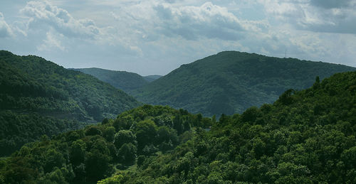 Scenic view of forest and mountains against sky