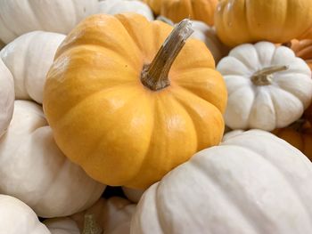 Full frame shot of pumpkins