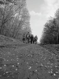 People walking with dog in background