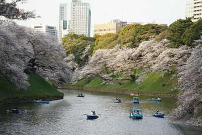 Boats in tokyo imperial palace moat during cherry blossom season