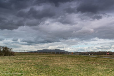 Scenic view of field against sky