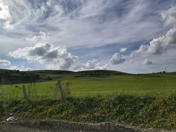 Scenic view of agricultural field against sky