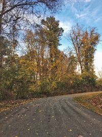 Road amidst trees in forest against sky during autumn