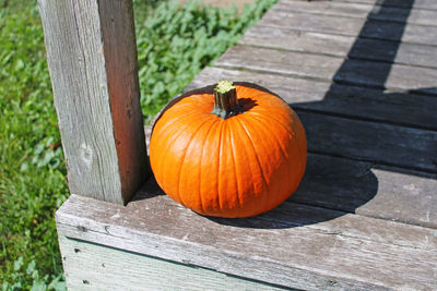 High angle view of pumpkins on table