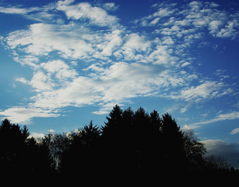 Low angle view of trees against blue sky