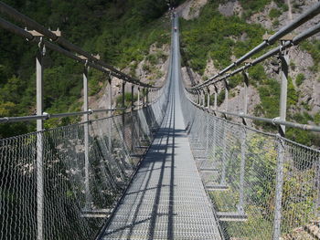 Bridge in forest