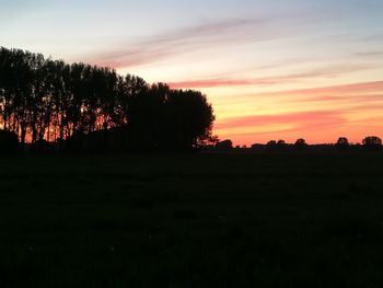 Silhouette trees on field against sky during sunset