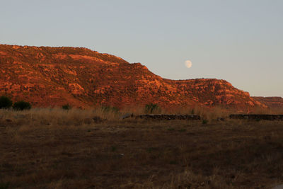 Scenic view of field against clear sky